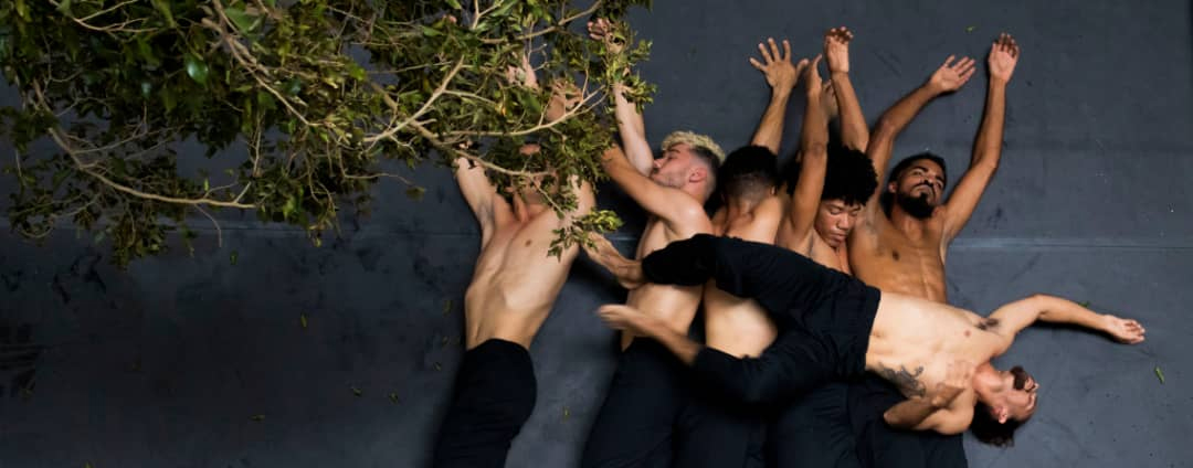 «Bailarín»: puente oportuno entre danza y fotografía en el Mes de la Cultura Francesa en Cuba 2023