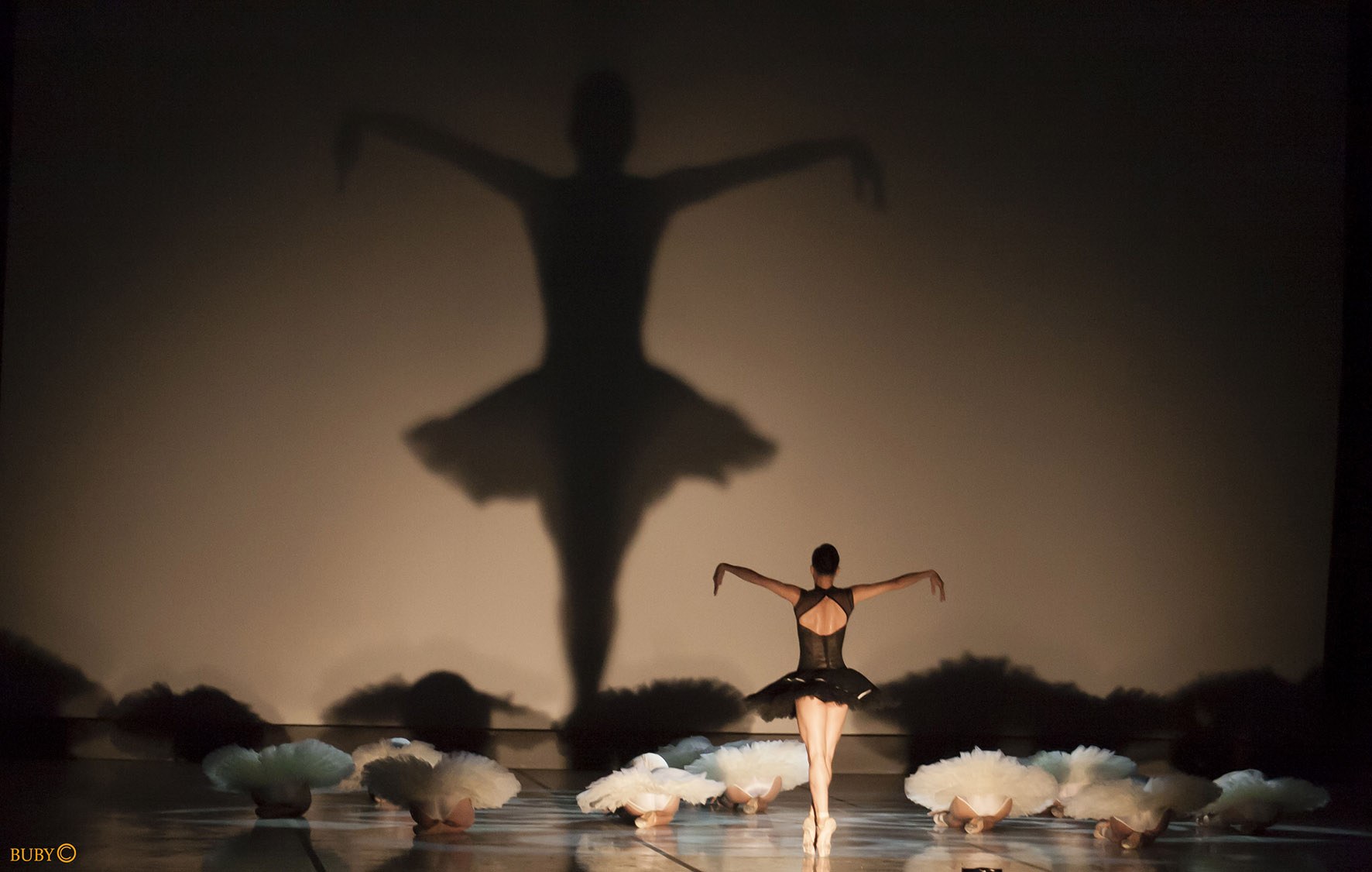 A la venta entradas para el Ballet Nacional De Cuba