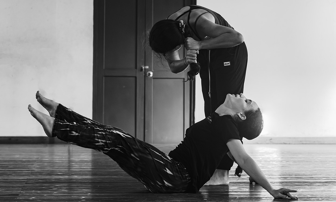 Perro que muerde y araña