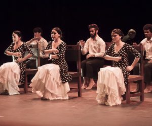 Flamemca ECOS. FOTOS BUBY (4)